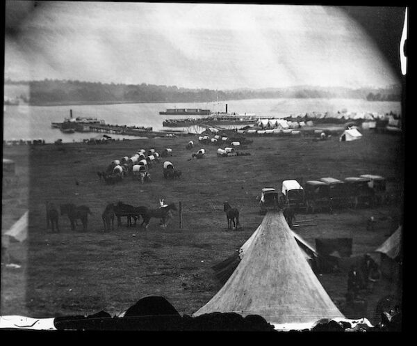 Image ID: ACTT - Image 5