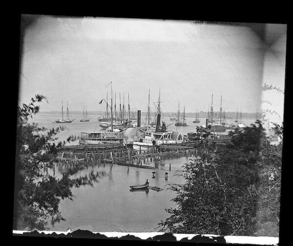 Image ID: AGNT - Image 4