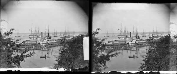 Image ID: AGNT - Image 6