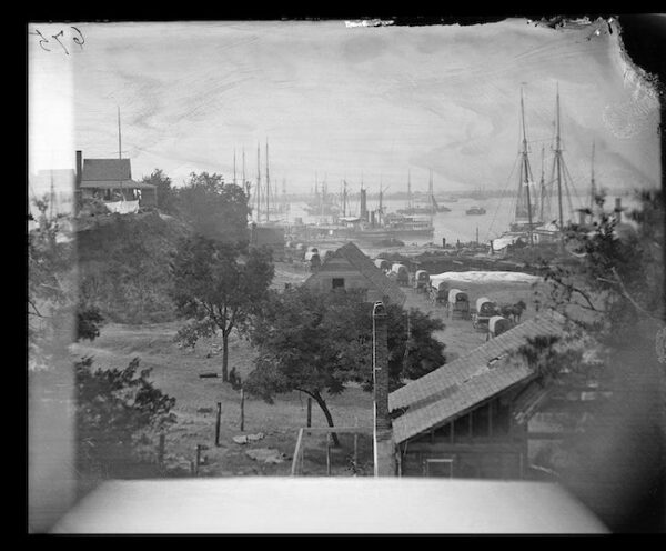 Image ID: AGSM - Image 2