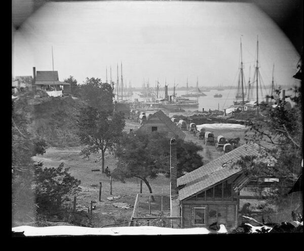 Image ID: AGSM - Image 5