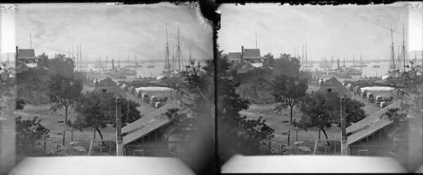 Image ID: AGSM - Image 7