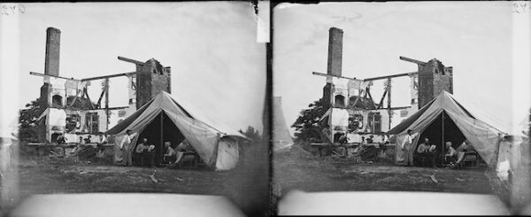 Image ID: AIBO - Image 8