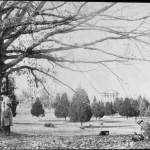 Image ID: AAFO