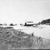 Image ID: ACUC - Image 2