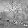 Image ID: ACNJ - Image 2