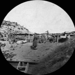 Image ID: AXTE
