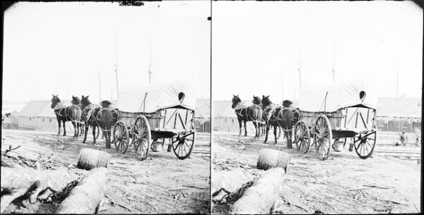 Image ID: AKVQ