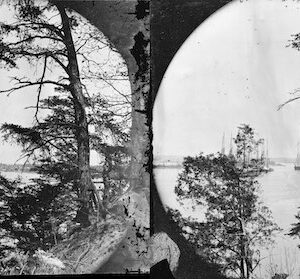 Image ID: ARWM