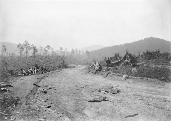 Image ID: AGIV - Image 2