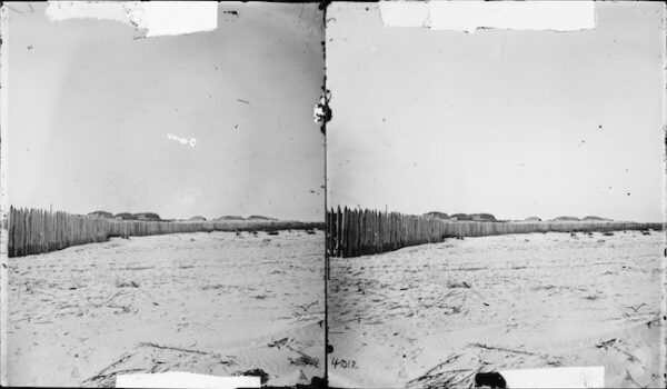Image ID: ALVD
