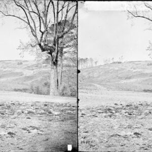Image ID: AKYE