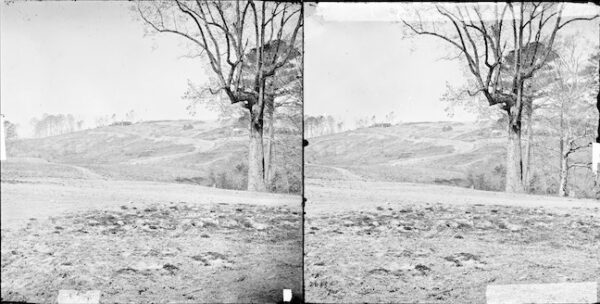 Image ID: AKYE