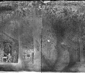 Image ID: AJOH