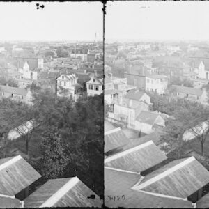 Image ID: ALLT