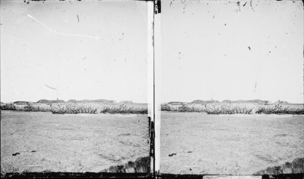 Image ID: ALON