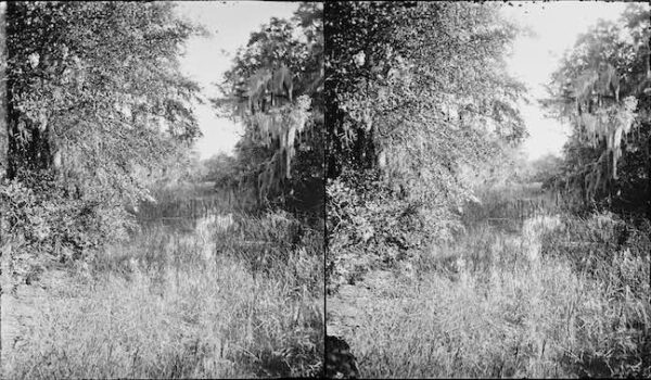 Image ID: ALRF