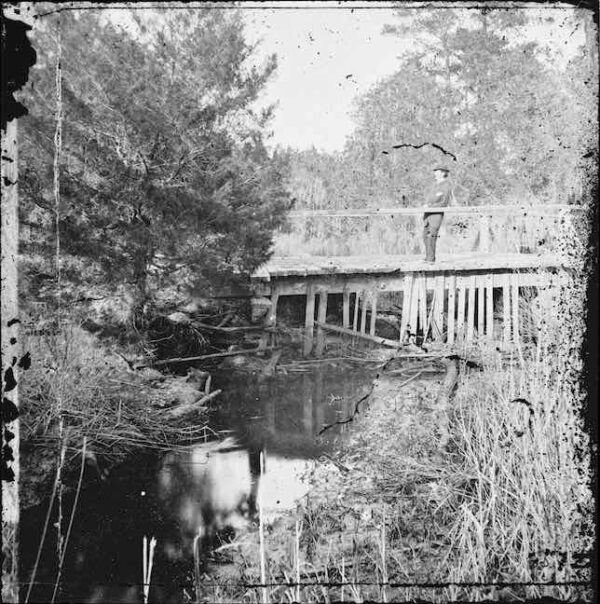 Image ID: ALRK