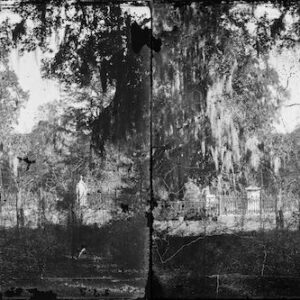 Image ID: ALSK