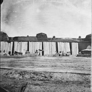 Image ID: ANVL
