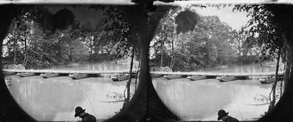 Image ID: ANBV