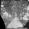 Image ID: AHPL