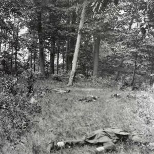 Image ID: APHJ