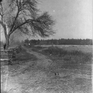 Image ID: APZJ