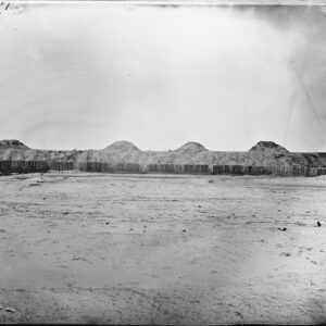 Image ID: AQXN