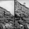 Image ID: APPX - Image 2