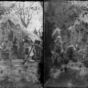 Image ID: AHFS