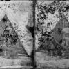 Image ID: AHFT
