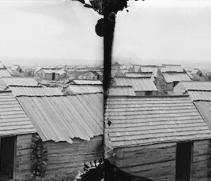 Image ID: 1RMS