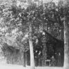 Image ID: AJOH - Image 2