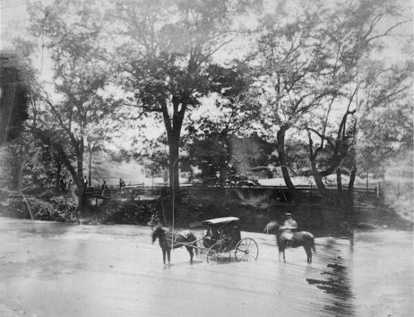 Image ID: AZRJ